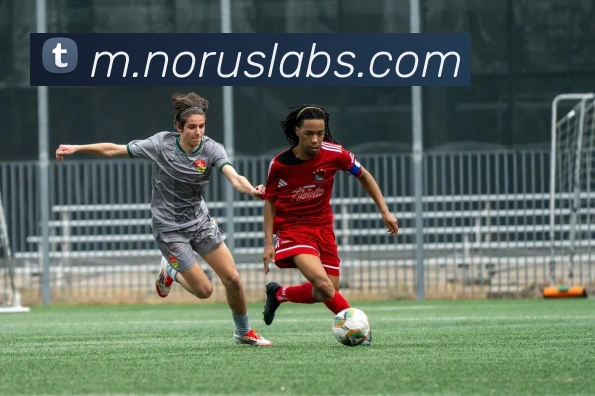 九游j9官网首页进入全站App 九游j9官网首页进入全站App
